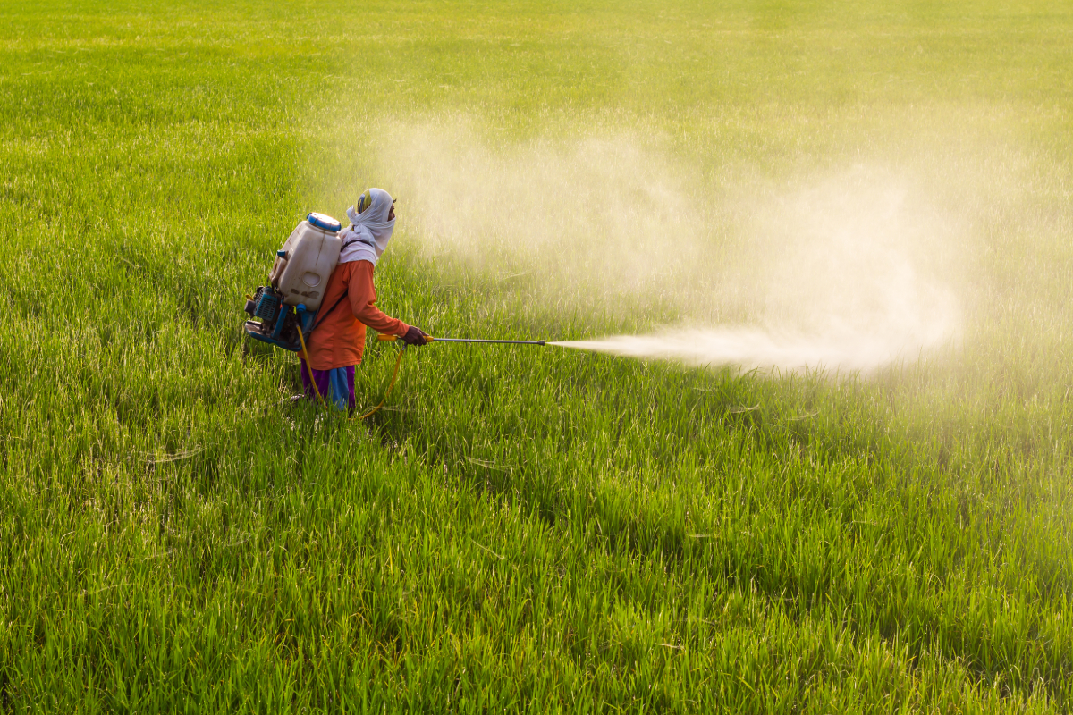 Fertilizer: A New Battleground In The Fight To Solve The Climate Crisis ...